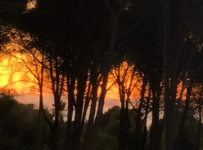 Ilenia Seaview 公寓 切法卢